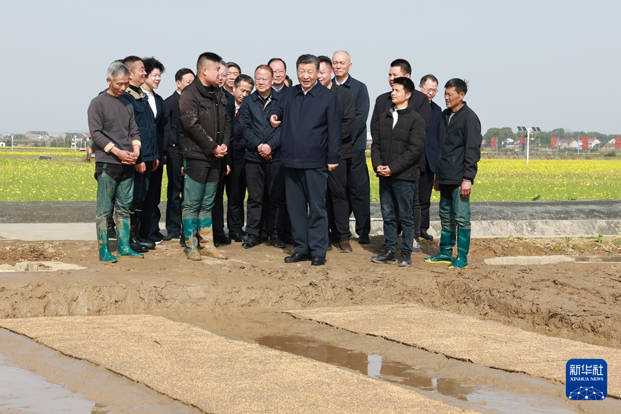 3月18日至21日，中共中央总书记、国家主席、中央军委主席习近平在湖南考察。这是19日下午，习近平在常德市鼎城区谢家铺镇港中坪村走进田间，察看秧苗培育和春耕备耕进展。